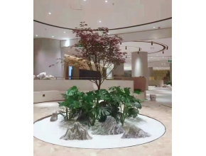 植物造景