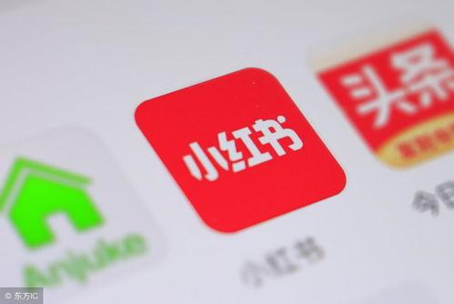 小红书粉丝头条排名,揭秘热门话题背后的秘密