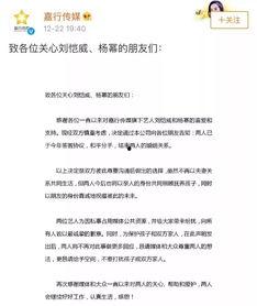 关于明星离婚作文,明星离婚背后的情感纠葛与公众焦点