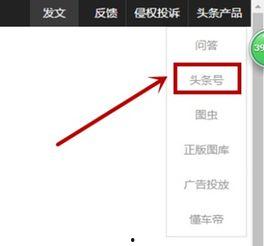头条视频不能加图片吗,探索无图内容的新趋势