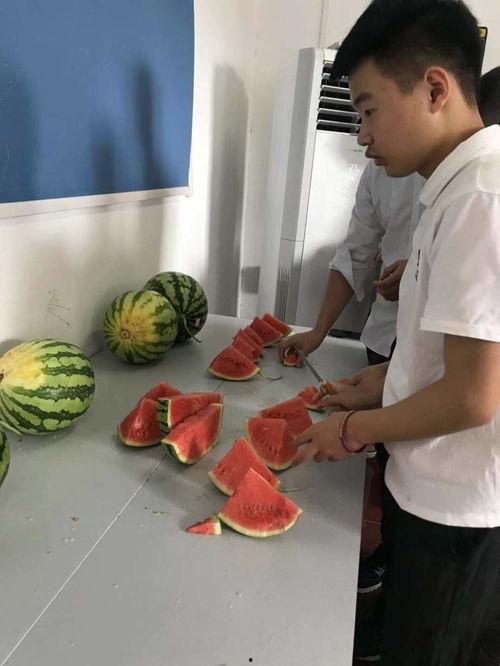 吃西瓜比赛专用瓜,吃西瓜比赛专用瓜的趣味与挑战