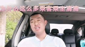 头条女司机自媒体号,揭秘自媒体时代的女性力量与智慧